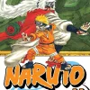 Naruto, Vol. 11