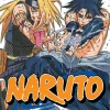 Naruto, Vol. 40