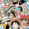 One Piece, Vol. 51