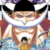 One Piece, Vol. 57