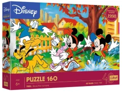 Playing in Puddles Puzzle (160)