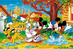 Playing in Puddles Puzzle (160)