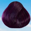 Plum Semi Permanent Hair Dye 88 ml