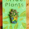 Prideplant LGBTQA Flag