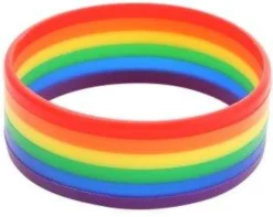 Rainbow Stripes Silicon Wrist Band