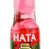 Ramune Watermelon 200ml