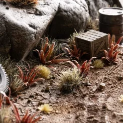 Red Aloe Laser Plants