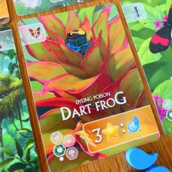 Rewild: South America