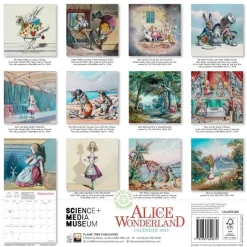 Science Museum: Alice in Wonderland Wall Calendar 2025 (Art Calendar)
