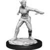 Shifter Female Rogue (Wave 13) Dungeons & Dragons Nolzurs Marvelous Unpainted Miniature Figur