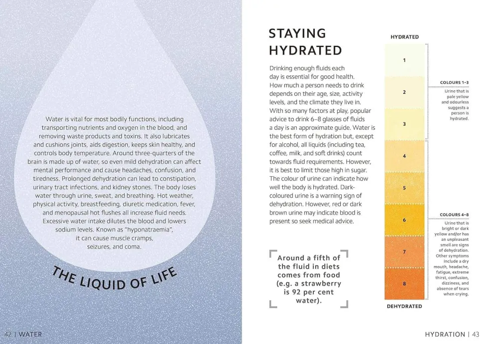 Simply Nutrition: For Complete Beginners