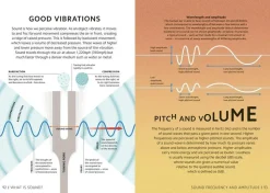 Simply Physics: Facts Made Fast
