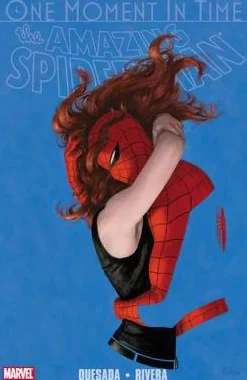 SpiderMan: One Moment in Time