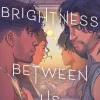 The Brightness Between Us
