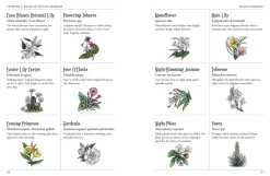 The Green Witch's Garden: Your Complete Guide to Creating and Cultivating a Magical Garden Space