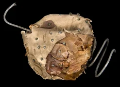 The History of Magic: From Alchemy to Witchcraft, from the Ice Age to the Present