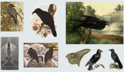 The Sticker Treasury of Ghosts & Dark Curiosities: An eclectic book of stickers for journaling, collaging, scrapbooking and more