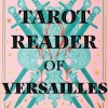 The Tarot Reader of Versailles: The spellbinding new novel from the international bestselling author of THE WITCHES OF VARDO