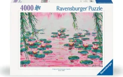 Underwater Puzzle (4000)