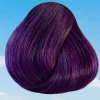 Violet Semi Permanent Hair Dye 88 ml