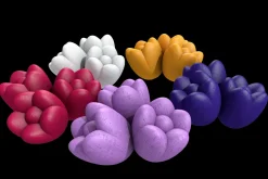 Windmill Tulip Tokens (195)