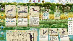 Wingspan Special Edition (Switch)