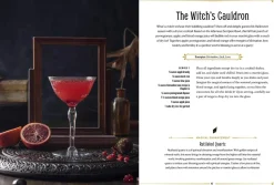 WitchCraft Cocktails: 70 Seasonal Drinks Infused with Magic & Ritual