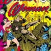 Wonder Woman: The Golden Age Volume 2: The Golden Age Volume 2