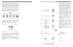 Writing Japanese Hiragana: An Introductory Japanese Language Workbook: Learn and Practice The Japanese Alphabet