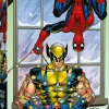 XMAS Spider-Man & Wolverine Premium Puzzle (1000)